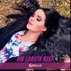 Die Laaste Keer - Single