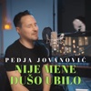 Nije mene dušo ubilo (Cover) - Single