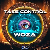 Take Control artwork