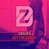 Just for Tonight (Extended Mix) artwork