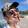 Cudowronek - Single