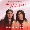 Amor Prohibido