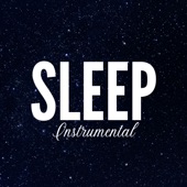 Sleep Instrumental artwork