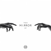 The Mirror (feat. Medic) artwork