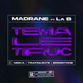 Téma le truc (feat. Niska, Trafiquinte, Brigistone & La B) artwork