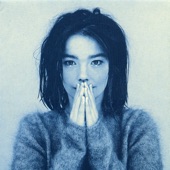 I Remember You by Björk