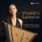 Violin Concerto in D Major, RV 220 (Arr. for Psaltery & Chamber Ensemble by Anonymous): I. Allegro artwork