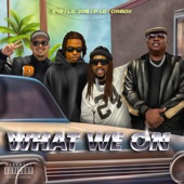 What We On (feat. DaBoii) artwork