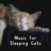 Music for Sleeping Cats artwork