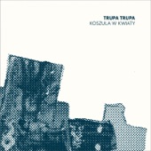 KOSZULA W KWIATY artwork