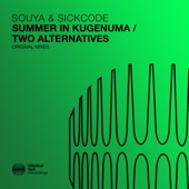 Two Alternatives (Extended Mix) artwork