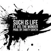 Such Is Life (feat. Vel the Wonder) - Single album lyrics, reviews, download