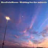 Waiting for the Miracle - Single album lyrics, reviews, download