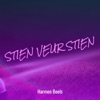 Stien Veur Stien - Single