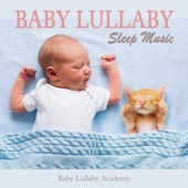 Baby Lullaby Sleep Music artwork