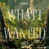 What I Wanted - Single