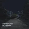 Vintermørke (feat. Mathias Eick) - Single album lyrics, reviews, download