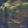 Lost In the Night - Single