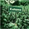 KETAMA - MolemBoy lyrics