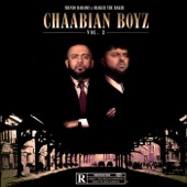 Chaabian Boyz, Vol. 3 artwork
