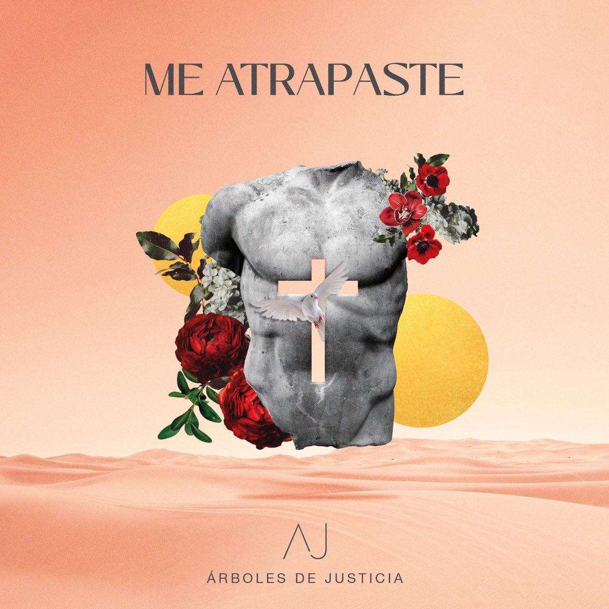 Me Atrapaste - Single by Árboles de Justicia on Apple Music