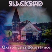 Blackbird - Move On