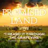 I Heard It Through the Grapevine (From "Promised Land") - Single album lyrics, reviews, download