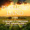 Stream & download I Heard It Through the Grapevine (From "Promised Land") - Single