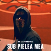 Sub pielea mea (Dj Dark Remix) artwork