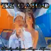 Stream & download Te Caigo - Single