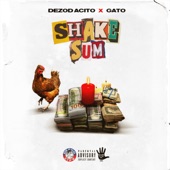 Shake Sum (feat. Gato) artwork