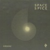 Space Spice - Single