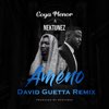 GOYA MENOR/NEKTUNEZ/DAVID GUETTA - Ameno Amapiano (You Wanna Bamba) (Record Mix)