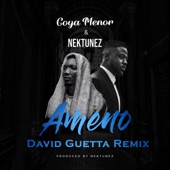 Ameno Amapiano (You Wanna Bamba) [David Guetta Extended Mix] artwork