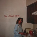 The Shackletons - Exactly What It Looks Like