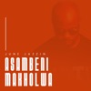 Asambeni Makholwa - Single