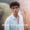 What You Came For - Single