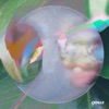 Third Coast Percussion & David T. Little - Perspective: III. Derivative