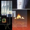 VOiCE - EP