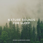 Nature Sounds for Sleep artwork