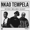 Nkao Tempela - Single