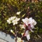 In Island (feat. notabadboy2001) - MATTRIX lyrics