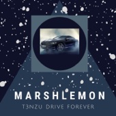 T3NZU Drive Forever artwork