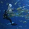 Deep Sea Diver - 30 Minutes Of Heaven lyrics
