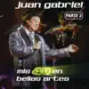 Mis 40 en Bellas Artes (En Vivo Desde Bellas Artes, México/ 2013), Parte 2 album lyrics, reviews, download