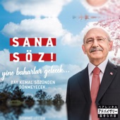 Sana Söz Yine Baharlar Gelecek! artwork