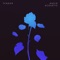 Nadir - TENDER lyrics