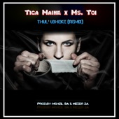 Thul' Ubheke (feat. Ms. Toi) [Remix] artwork