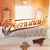 Desnúdate artwork