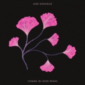 Jose Gonzalez - Tjomme (DJ Koze Remix)